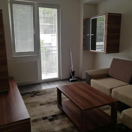 Appartement Apartman "K Vystavisku" à Trenčín Extérieur photo