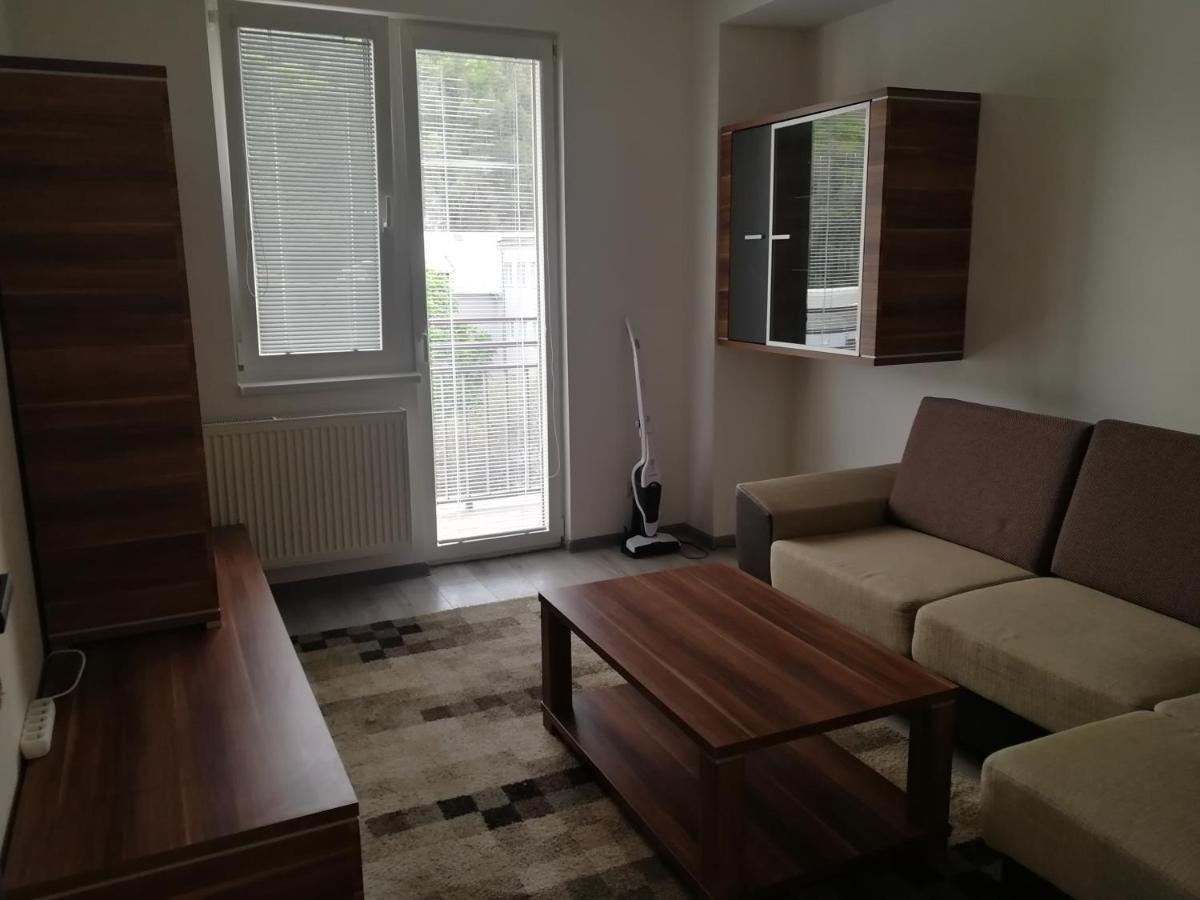 Appartement Apartman "K Vystavisku" à Trenčín Extérieur photo