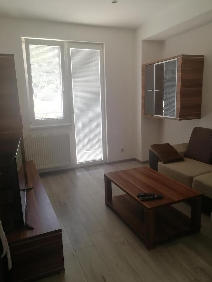 Appartement Apartman "K Vystavisku" à Trenčín Extérieur photo